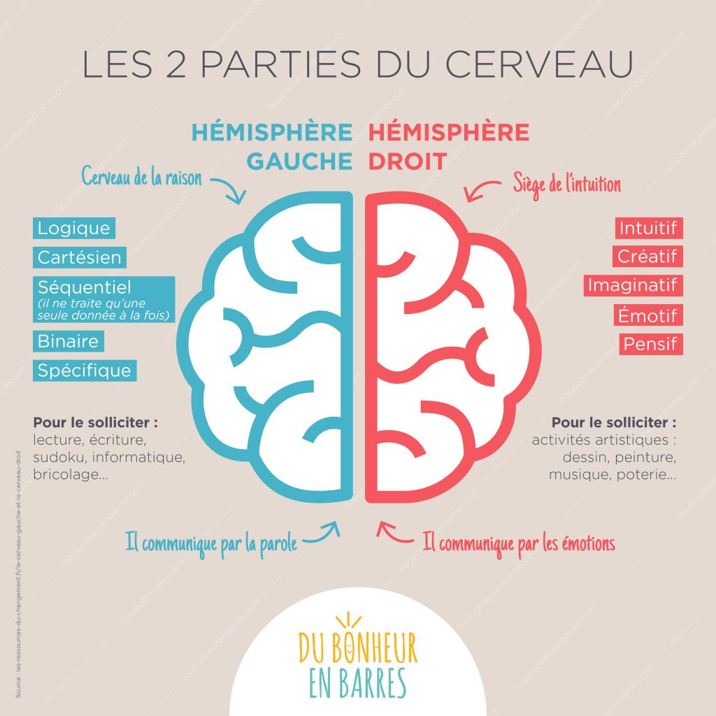 Tdah Et Haut Potentiel : Couple Mythique Ou Infernal