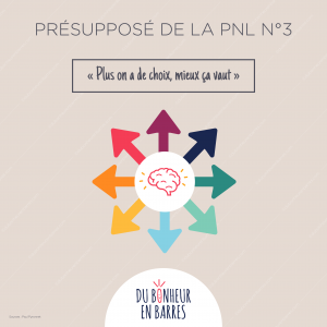 Présupposé de la PNL N°3