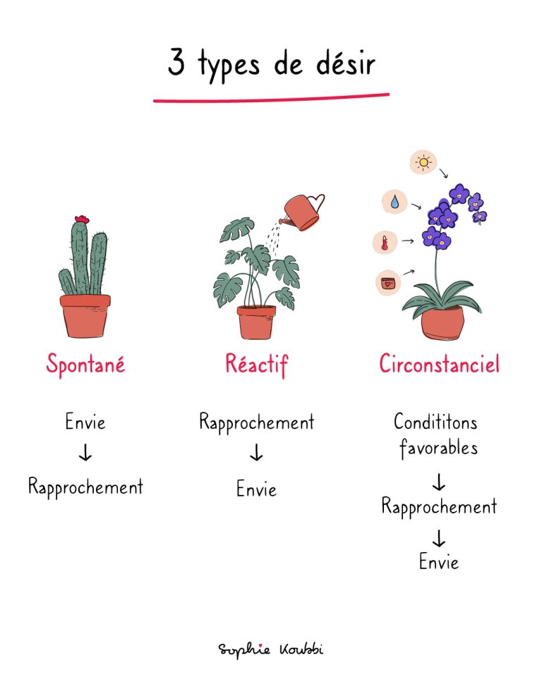 Les 3 types de désirs : spontané, réactif, circonstanciel,