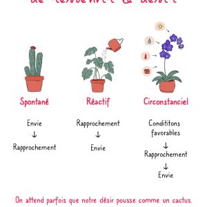 Affiches pour les sexothérapeutes ou les sages-femmes sur les 3 types de désir : spontané, réactif, circonstanciel
