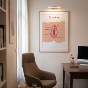 Affiche anatomique de la vulve dans un cabinet de thérapie
