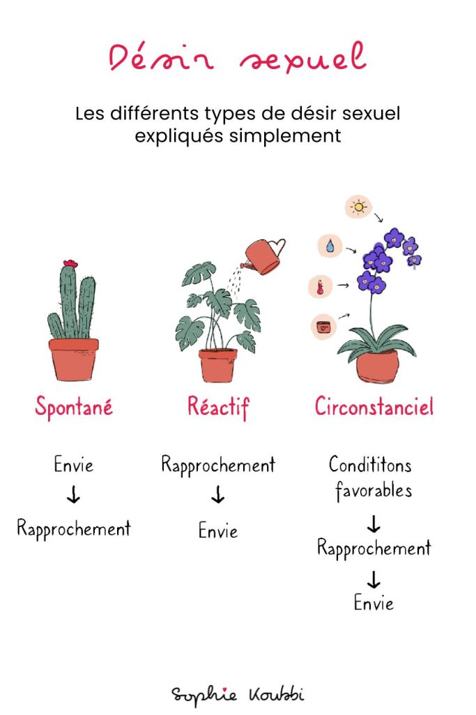 Les différents types de désir sexuel expliqués simplement