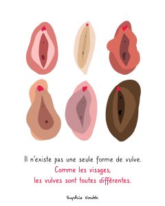 Il existe une grande diversité de vulve, toutes différentes et toutes normales