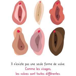 Il existe une grande diversité de vulve, toutes différentes et toutes normales
