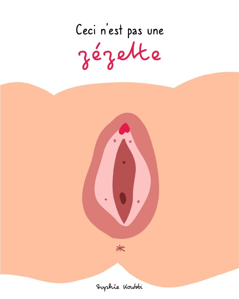 Schéma anatomique d'une vulve, zézette, minette, zigounette...