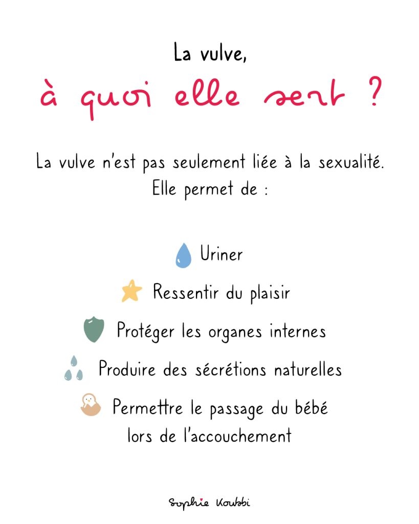 La vulve sert à uriner, ressentir du plaisir, accoucher, protéger lles organes internes, produire des sécrétions naturelles.