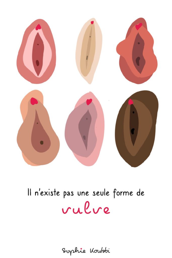 Est-ce que ma vulve est normale ? Il n'existe pas une seule forme de vulve