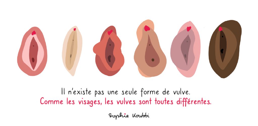 Il existe une grande diversité de vulve, toutes différentes et toutes normales